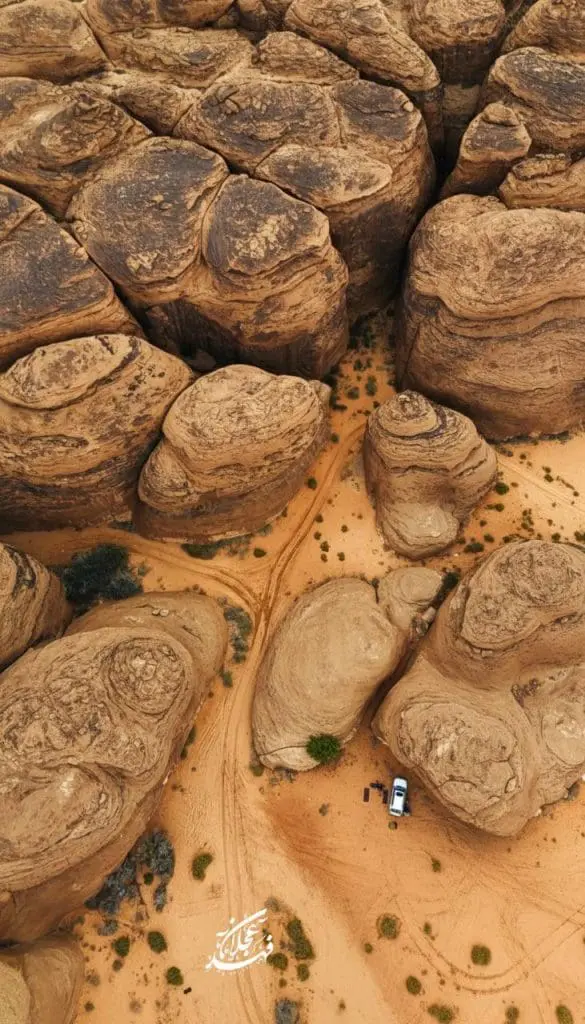حصاد الأسبوع: أبرز الصور من العالم الإسلامي 53 photo 2026 01 20 10 07 46
