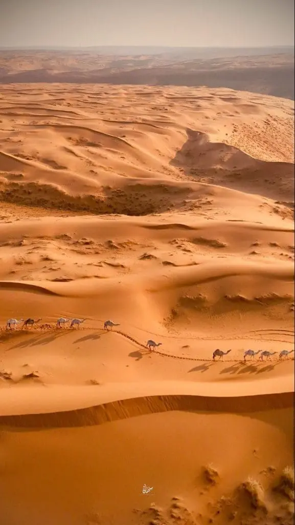 حصاد الأسبوع: أبرز الصور من العالم الإسلامي 54 photo 2026 01 20 10 08 34