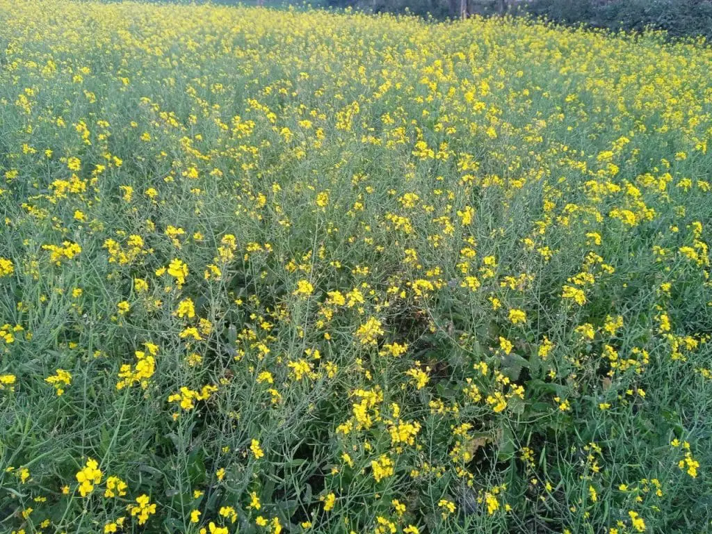 حصاد الأسبوع: أبرز الصور من العالم الإسلامي 48 photo 2026 01 20 10 48 42