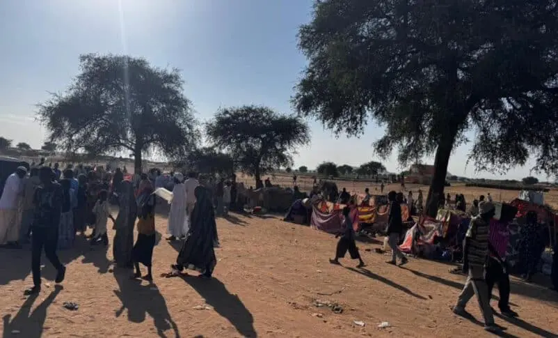 A group of displaced people fleeing El Fasher arrived in Tawila after a long ordeal 802x485 1