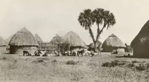 السودان من مقصلة المحتل البريطاني (1316 - 1375 هـ الموافق 1899 - 1956) إلى وقتنا الحاضر (1448هـ الموافق 2026) 15 السودان من مقصلة المحتل البريطاني