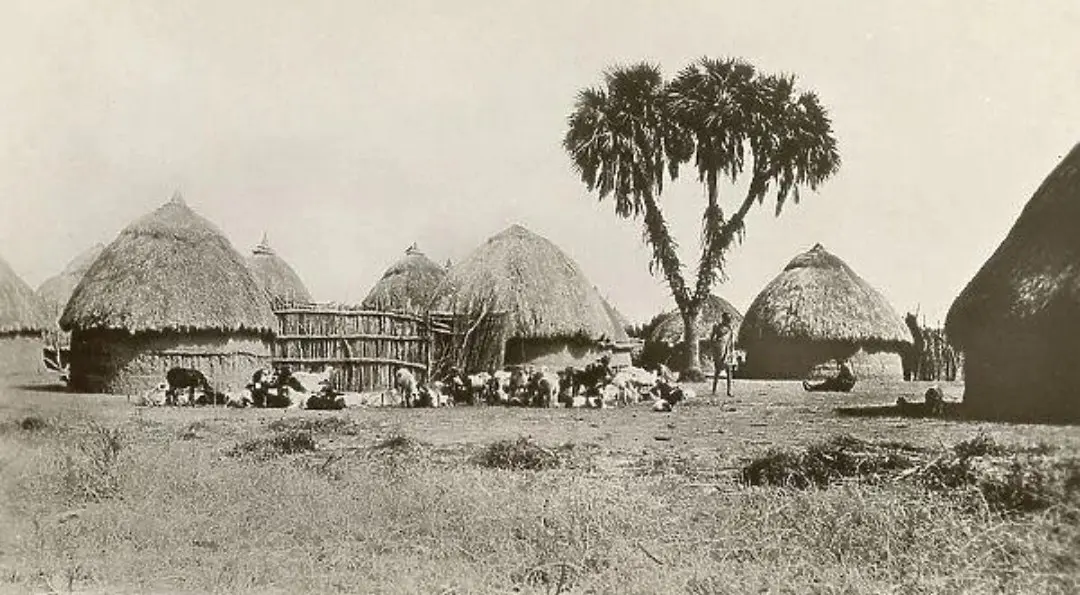 السودان من مقصلة المحتل البريطاني (1316 - 1375 هـ الموافق 1899 - 1956) إلى وقتنا الحاضر (1448هـ الموافق 2026) 2 السودان من مقصلة المحتل البريطاني