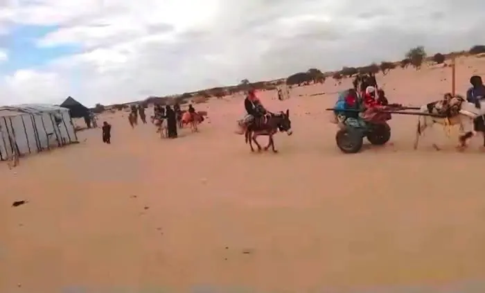 هجمات في شمال دارفور تدفع آلاف السودانيين للنزوح إلى تشاد وسط تصاعد الاتهامات باستهداف عرقي 4 737297582 924442927337124 6786771471015709989 n