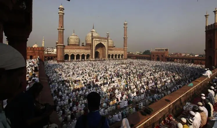 india1