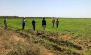 السودان يواجه خطر مجاعة متزايد مع تهديد الجفاف الشديد للمحاصيل 15 Al Jazirah agricultural scheme was largely impacted by the RSF control of the sentral Sudan area in December 2023 802x485 1