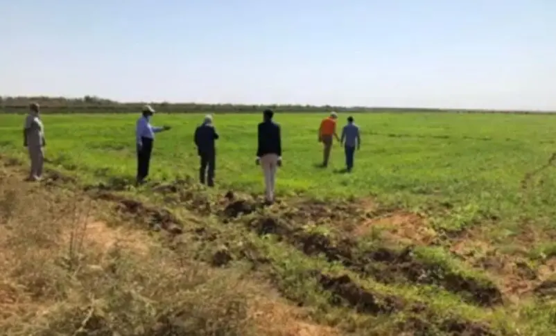 السودان يواجه خطر مجاعة متزايد مع تهديد الجفاف الشديد للمحاصيل 2 Al Jazirah agricultural scheme was largely impacted by the RSF control of the sentral Sudan area in December 2023 802x485 1