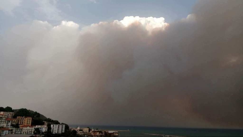بالصور : حرائق مروعة بالجزائر وإحياء ذكرى إبادة الروهينجا | أبرز الصور من العالم الإسلامي 15 image 175