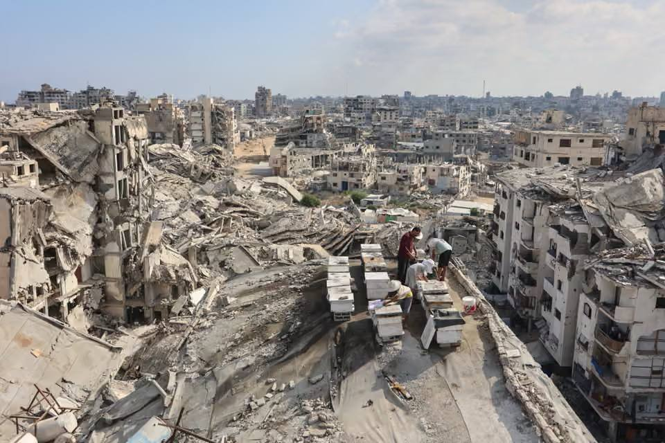 بالصور: حياة الفلسطينيين بين الأنقاض والخيام وحرائق غابات بإندونيسيا| أبرز الصور من العالم الإسلامي 5 image 72