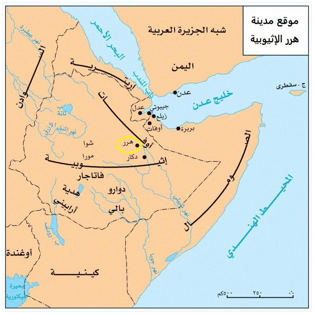 مسلمو إثيوبيا: تاريخ عريق وحضور ديموغرافي كبير.. من الهجرة الأولى إلى عقود التهميش والعنف 3 image 161