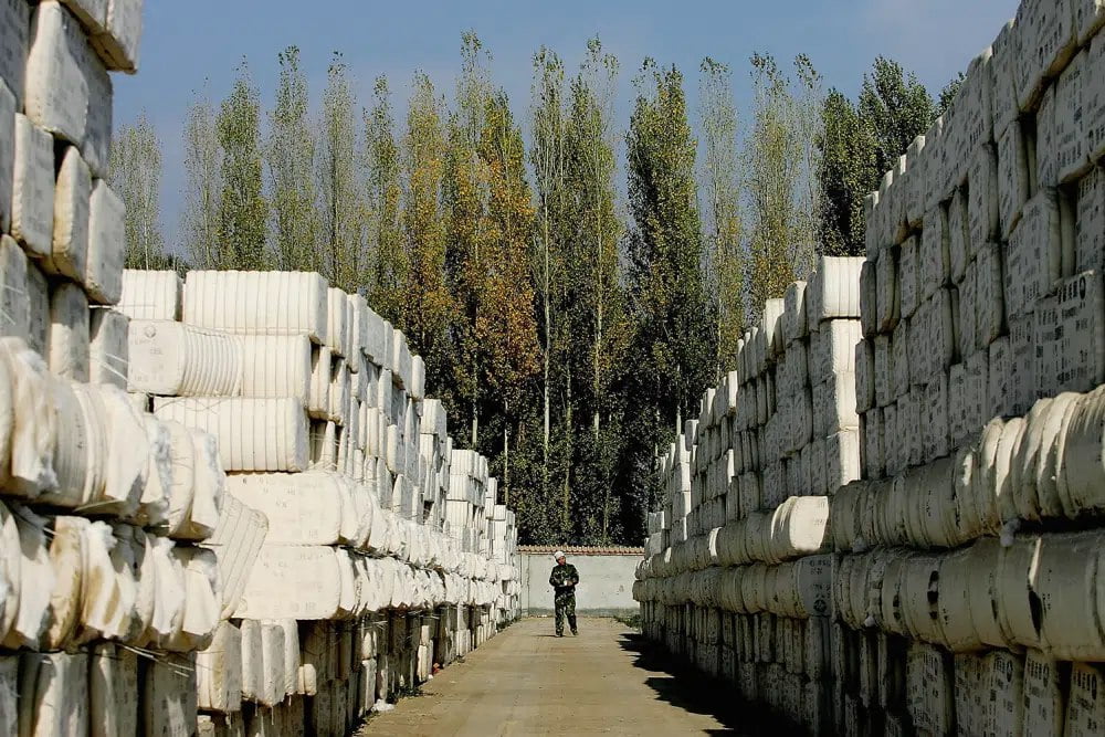 كيف تجبر بكين الإيغور المضطهدين على قطف القطن قسرًا؟!