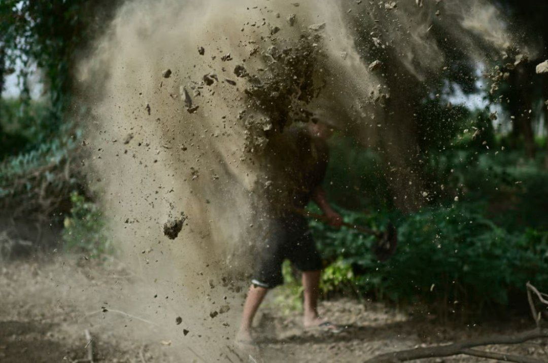 تقرير يخلص إلى أن العمل القسري لا يزال يطارد شينجيانغ (تركستان الشرقية)