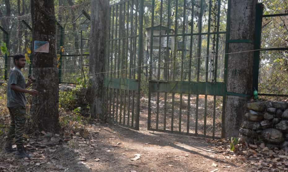 الهندوس يذهبون إلى المحكمة للاعتراض على أسد يحمل اسم الإمبراطور المسلم في الهند