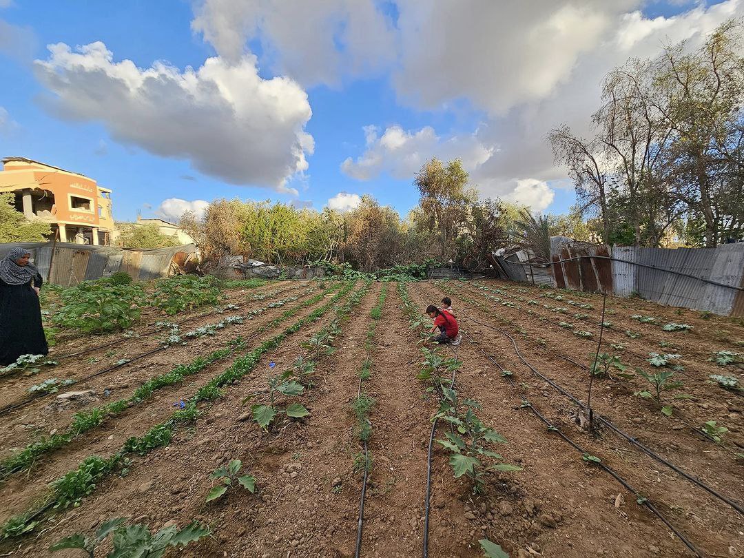 تقرير وصل الأسبوعي للعالم الإسلامي: أبرز أحداث الأسبوع الثاني من شهر ربيع الأول 56 تقرير وصل الأسبوعي للعالم الإسلامي: أبرز أحداث الأسبوع الثاني من شهر ربيع الأول