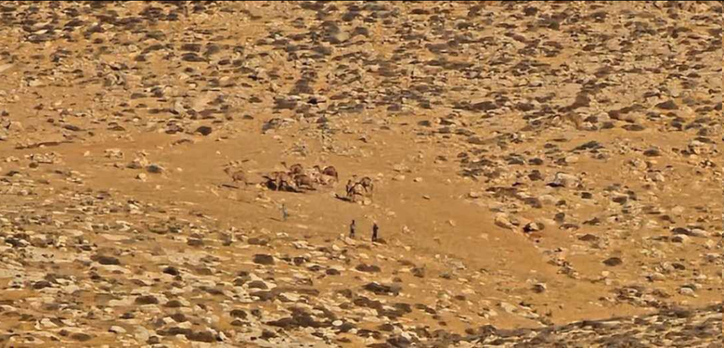تقرير وصل الأسبوعي للعالم الإسلامي: أبرز أحداث الأسبوع الأول من شهر ربيع الأول 5 image 43