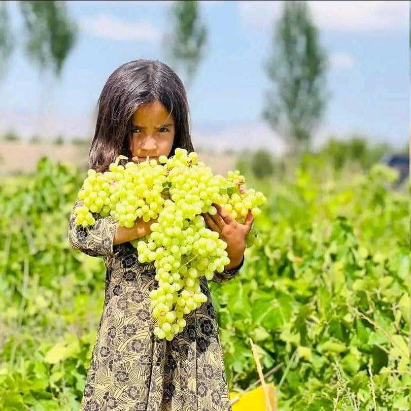 حصاد الأسبوع: أبرز الصور من العالم الإسلامي 31 image 65