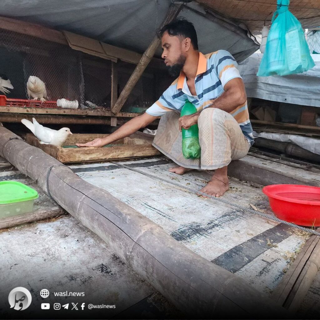 حصاد الأسبوع: أبرز الصور من العالم الإسلامي 76 1000124006