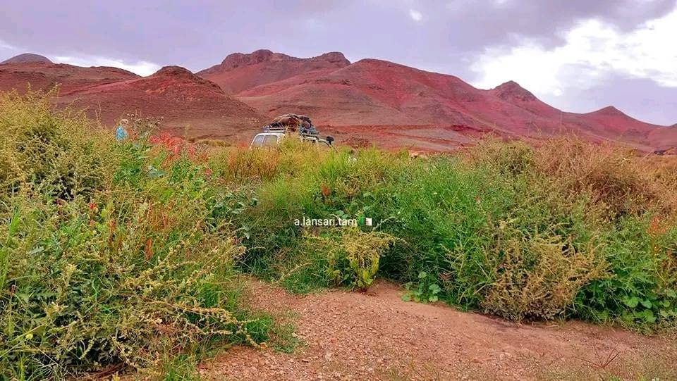 حصاد الأسبوع: أبرز الصور من العالم الإسلامي 106 1000124047