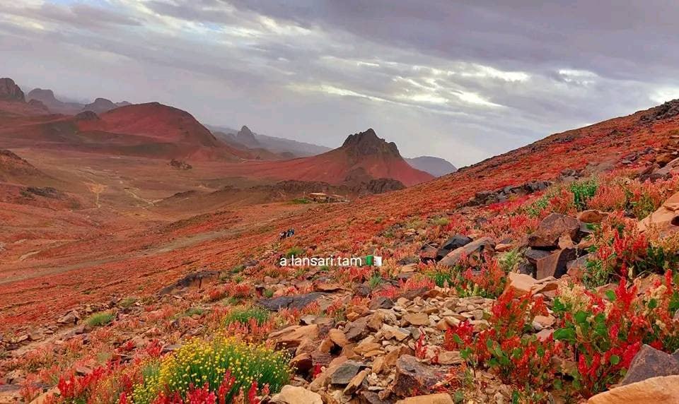 حصاد الأسبوع: أبرز الصور من العالم الإسلامي 111 1000124048