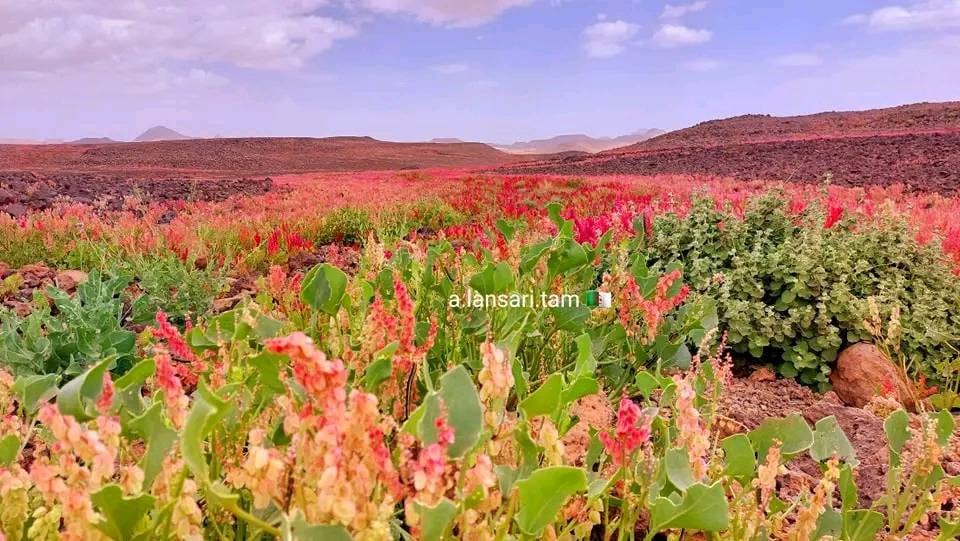 حصاد الأسبوع: أبرز الصور من العالم الإسلامي 110 1000124049