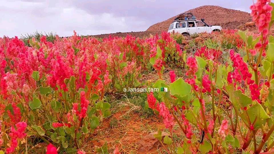 حصاد الأسبوع: أبرز الصور من العالم الإسلامي 107 1000124050