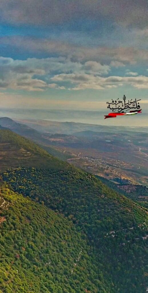 حصاد الأسبوع: أبرز الصور من العالم الإسلامي 39 1000124057