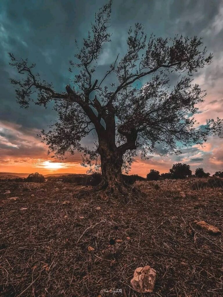 حصاد الأسبوع: أبرز الصور من العالم الإسلامي 40 1000124058