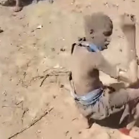 تقرير وصل الأسبوعي للعالم الإسلامي: أبرز أحداث الأسبوع الأول من شهر ربيع الثاني 36 13 1