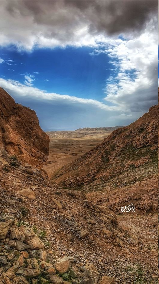 حصاد الأسبوع: أبرز الصور من العالم الإسلامي 48 image 76