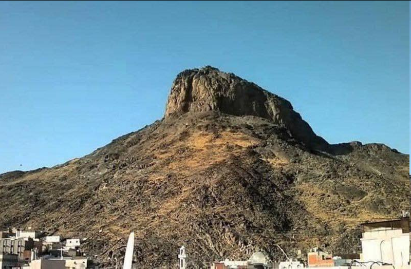 حصاد الأسبوع: أبرز الصور من العالم الإسلامي 114 image 78
