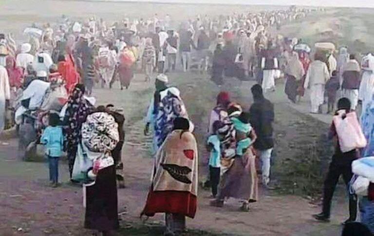 حصاد الأسبوع: أبرز الصور من العالم الإسلامي 14 15