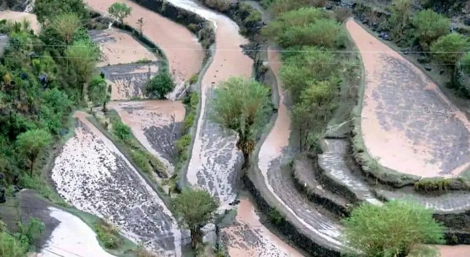 حصاد الأسبوع: أبرز الصور من العالم الإسلامي 101 IMG 20241101 153927 752