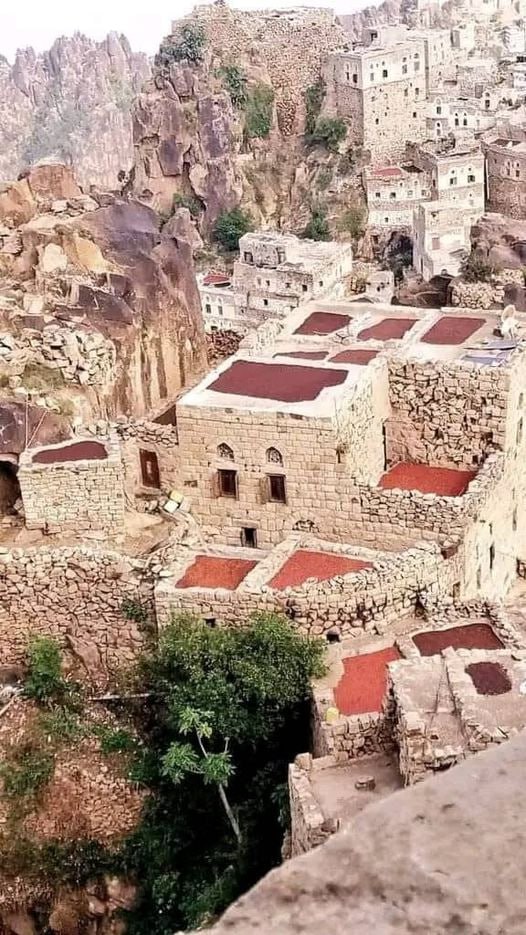حصاد الأسبوع: أبرز الصور من العالم الإسلامي 102 IMG 20241101 154101 199