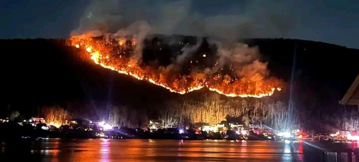 لا يمكن لأي “نظام مياه في العالم” التعامل مع حرائق لوس أنجلوس