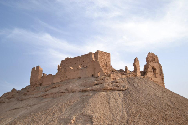 حصاد الأسبوع: أبرز الصور من العالم الإسلامي 59 image 52