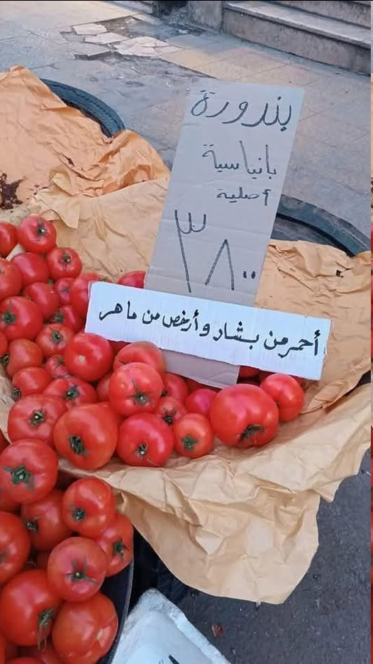 حصاد الأسبوع: أبرز الصور من العالم الإسلامي 72 image 62