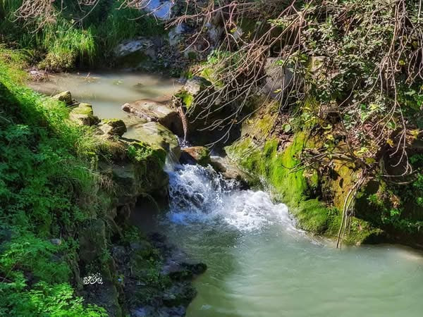 حصاد الأسبوع: أبرز الصور من العالم الإسلامي 22 photo 2025 02 07 17 30 54