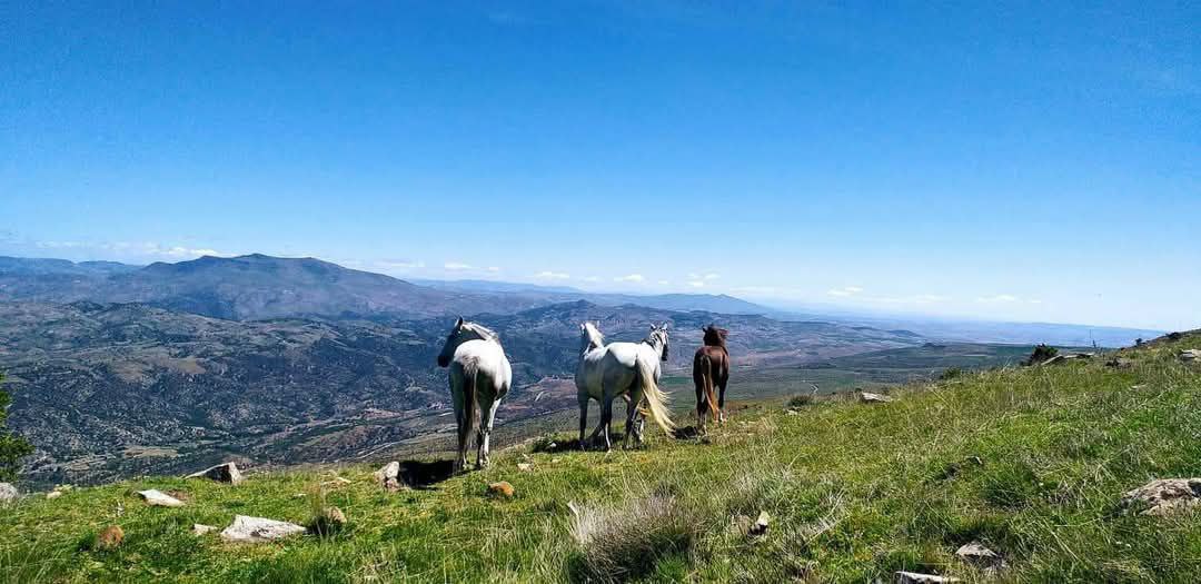 حصاد الأسبوع: أبرز الصور من العالم الإسلامي