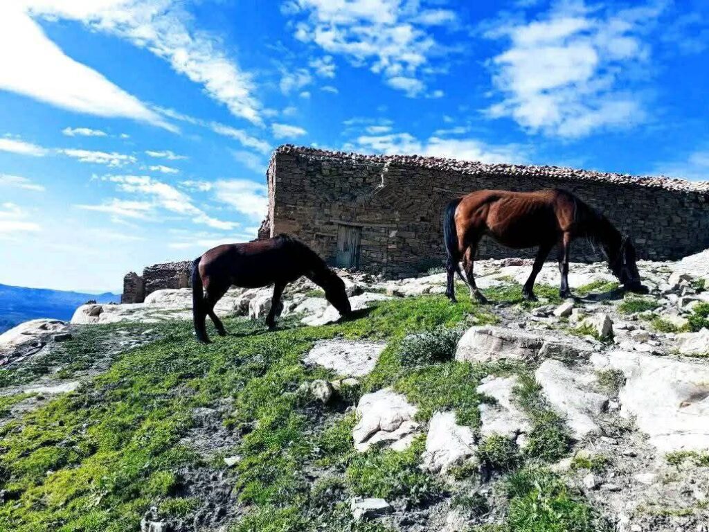 حصاد الأسبوع: أبرز الصور من العالم الإسلامي 105 photo 2025 02 07 17 46 19