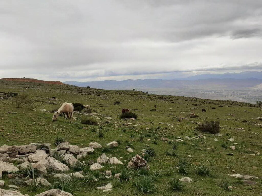 حصاد الأسبوع: أبرز الصور من العالم الإسلامي 102 photo 2025 02 07 17 46 29