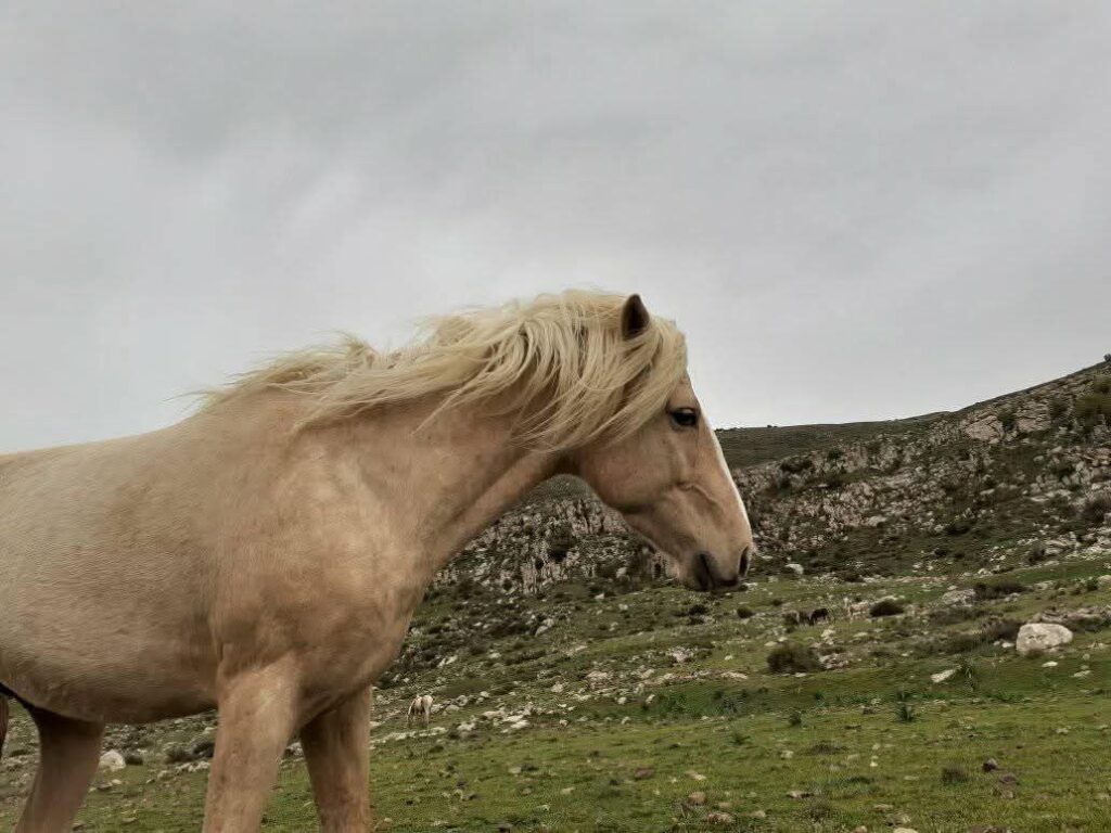 حصاد الأسبوع: أبرز الصور من العالم الإسلامي 101 photo 2025 02 07 17 46 32