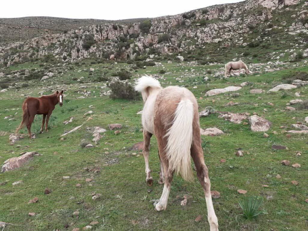 حصاد الأسبوع: أبرز الصور من العالم الإسلامي 100 photo 2025 02 07 17 46 35