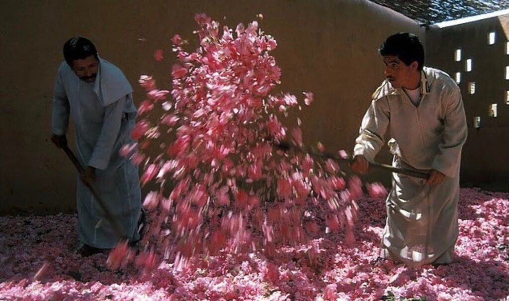 حصاد الأسبوع: أبرز الصور من العالم الإسلامي 40 photo 2025 02 21 14 37 55