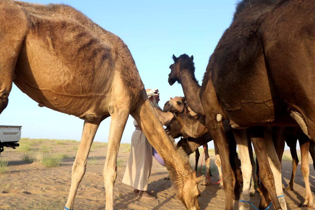 حصاد الأسبوع: أبرز الصور من العالم الإسلامي 30 IMG 20250315 060125 525