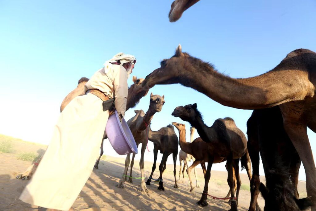 حصاد الأسبوع: أبرز الصور من العالم الإسلامي 29 IMG 20250315 060125 706