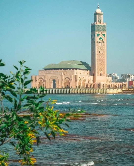 حصاد الأسبوع: أبرز الصور من العالم الإسلامي 71 IMG 20250328 232339 735