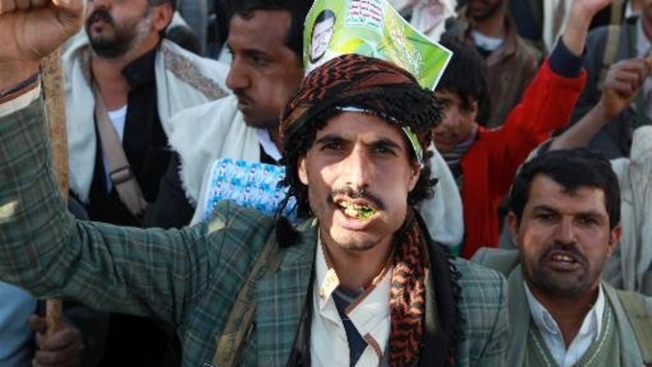 معضلة القات في اليمن 22 معضلة القات في اليمن