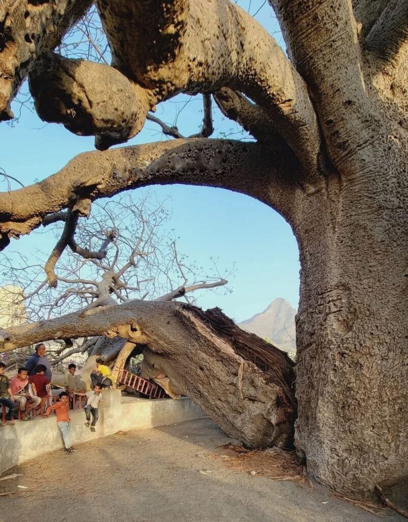حصاد الأسبوع: أبرز الصور من العالم الإسلامي 25 IMG 20250425 233040 810