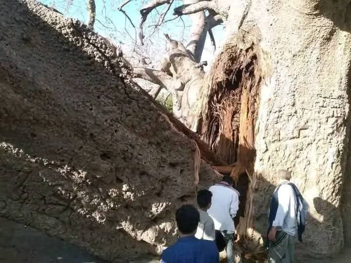 حصاد الأسبوع: أبرز الصور من العالم الإسلامي 29 IMG 20250425 233040 960