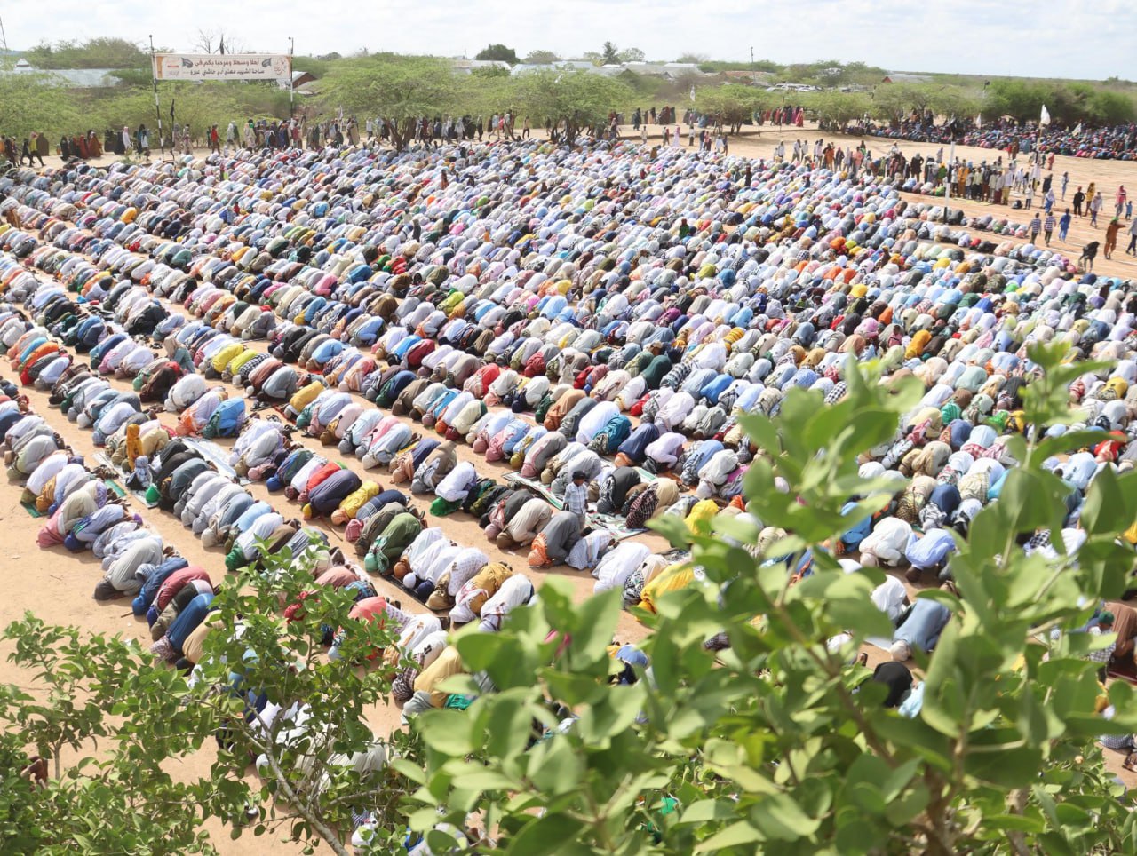 حصاد الأسبوع: أبرز الصور من العالم الإسلامي