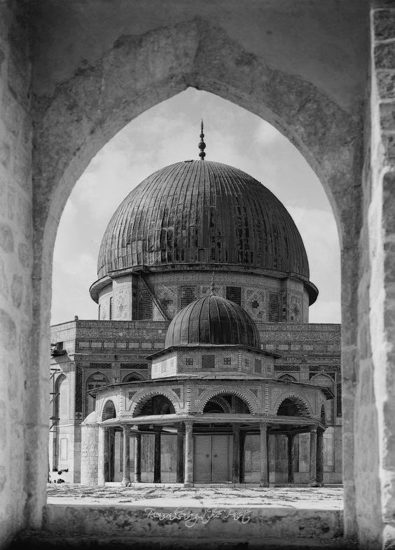 تقرير وصل الأسبوعي للعالم الإسلامي: أبرز الأحداث الأسبوع الثاني من ذي القعدة 29 IMG 20250509 183956 550